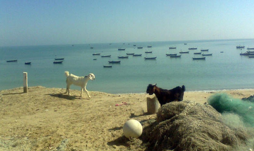 Ganz, Pakistan, Pakistan